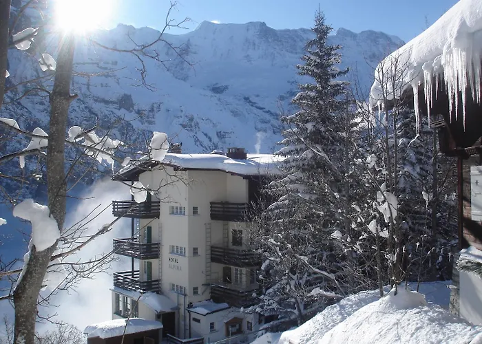 Hotel Alpina